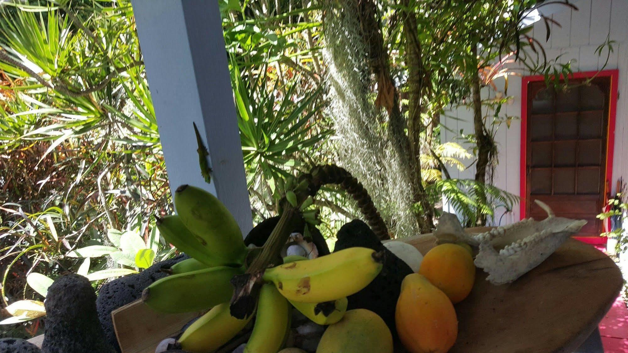 Ma'Ukele Lodge Pahoa Luaran gambar